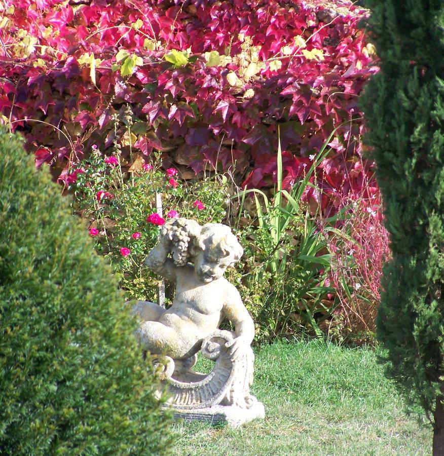 La Charmeraie Bed & Breakfast Saint-Cirq  Екстериор снимка